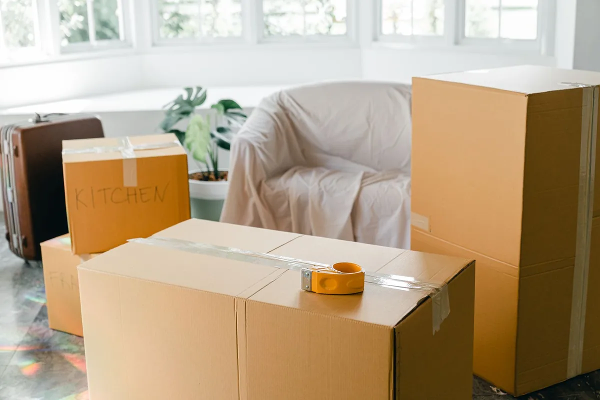 Hoarding Cleanup in Temple Terrace, FL
